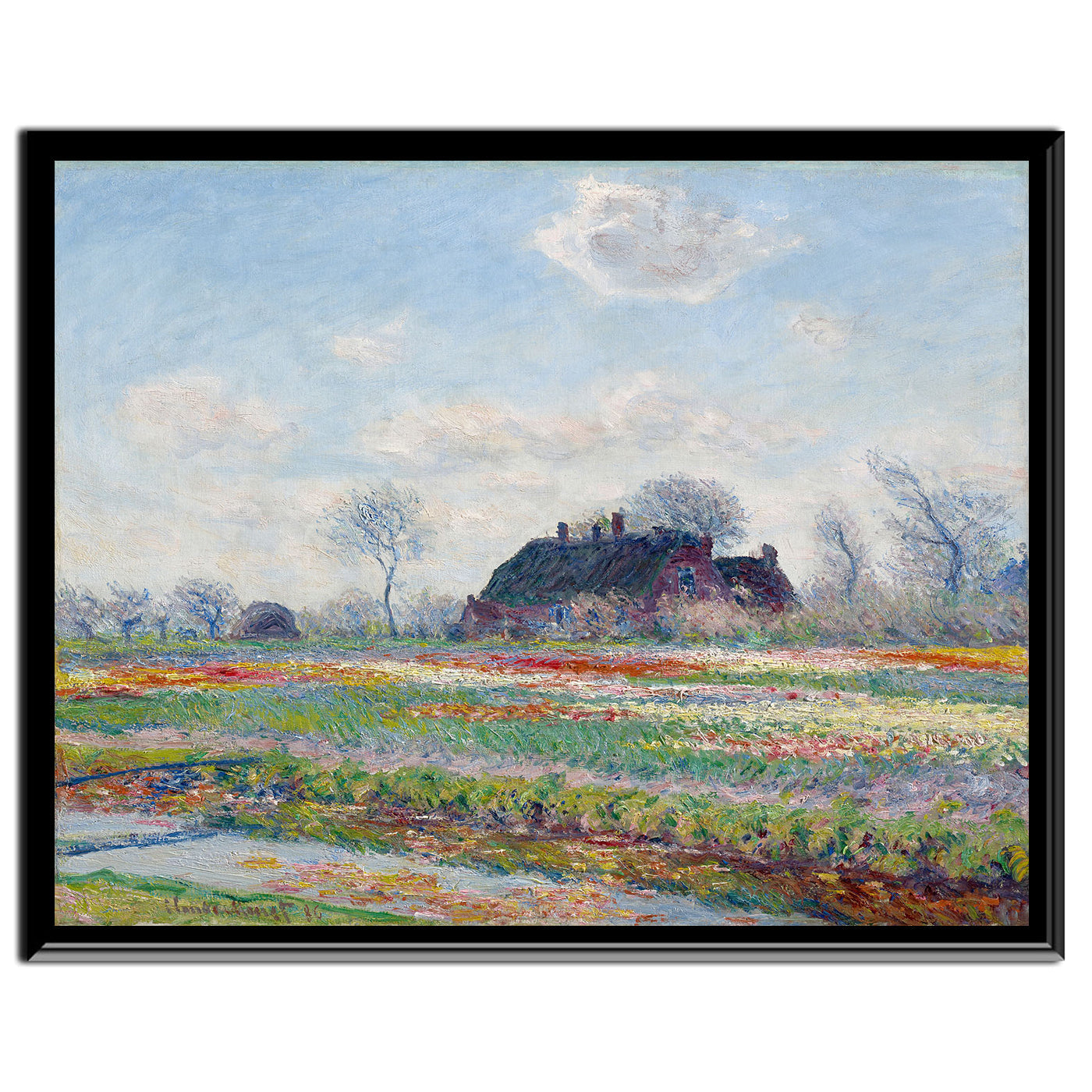 Tulip Fields at Sassenheim by Claude Monet