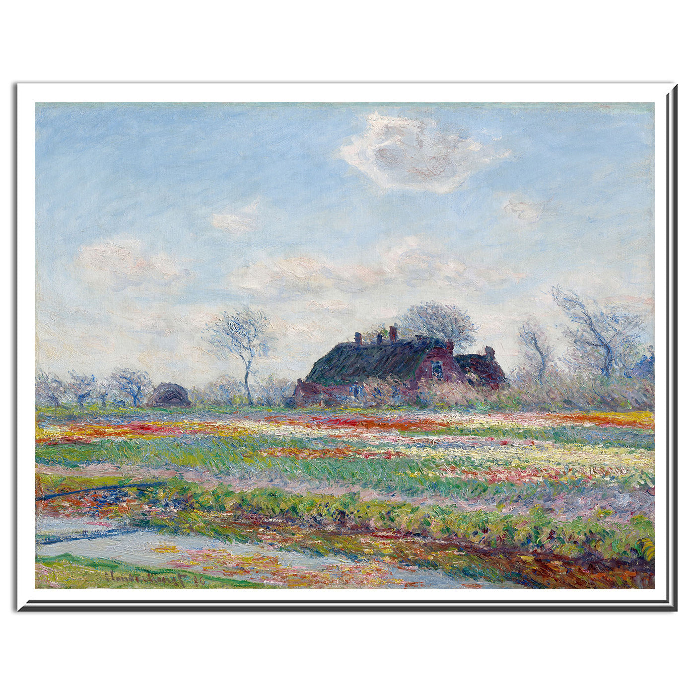 Tulip Fields at Sassenheim by Claude Monet