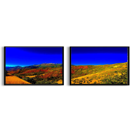 Uinta-Wasatch-Cache National Forest  | Choose Style | Size & Trim Color