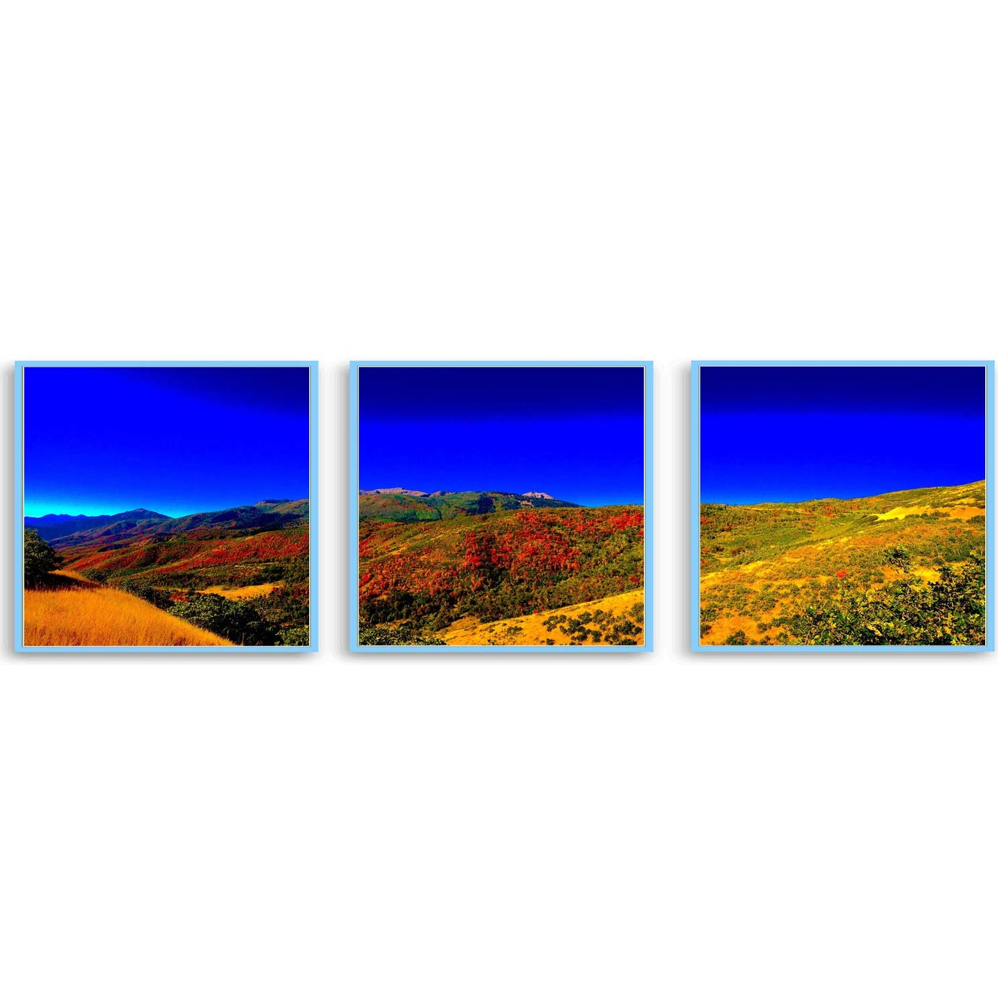 Uinta-Wasatch-Cache National Forest  | Choose Style | Size & Trim Color