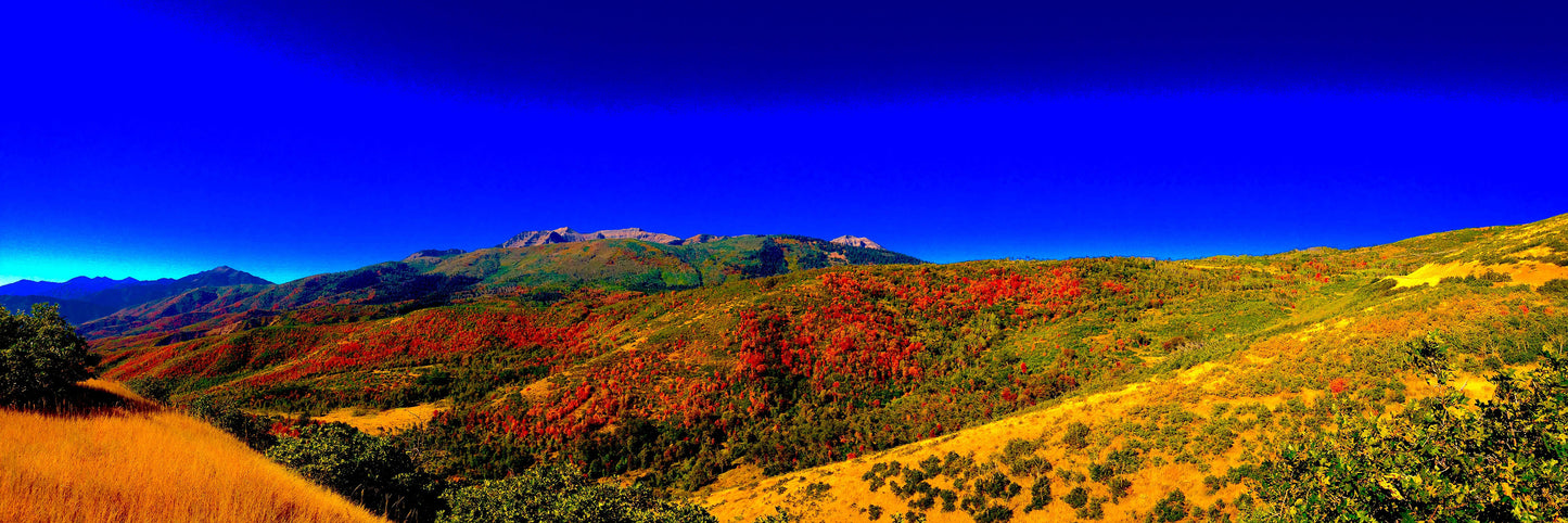 Uinta-Wasatch-Cache National Forest