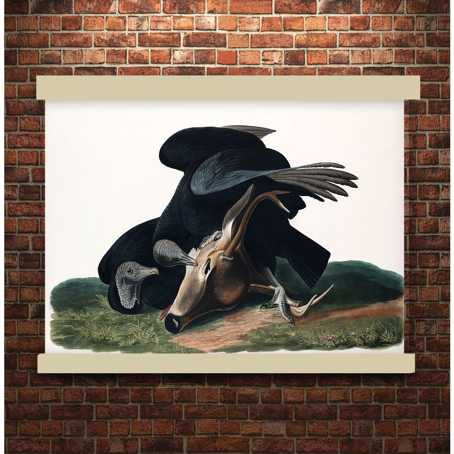 Black Vulture, or Carrion Crow by John James Audubon | Hanging Canvas Art | Choice of Board Colors