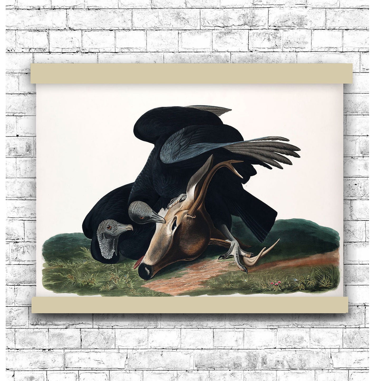 Black Vulture, or Carrion Crow by John James Audubon | Hanging Canvas Art | Choice of Board Colors
