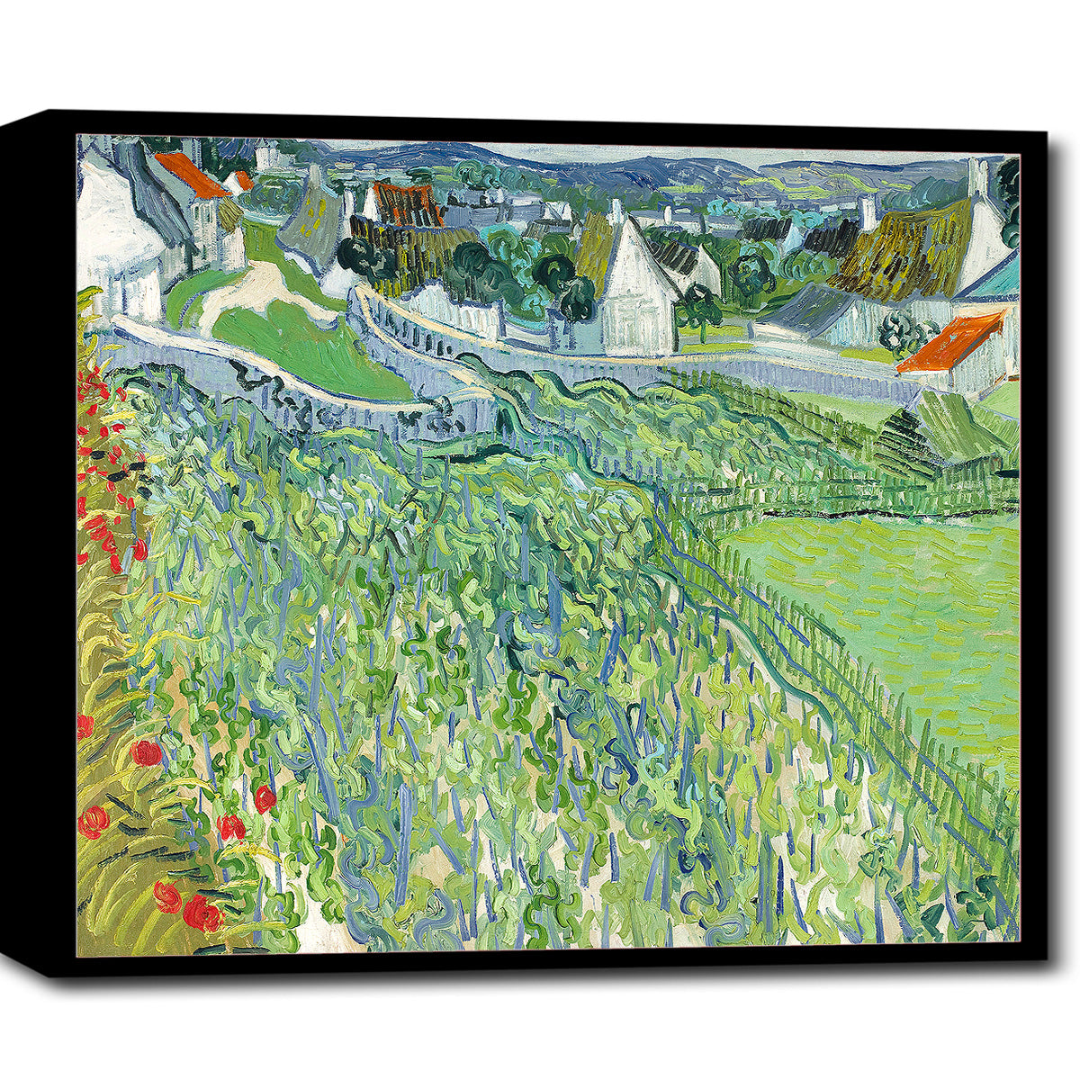 Vineyards at Auvers (1890) by Vincent van Gogh - Buy Print Only or Mounted with Choice of Accent Color