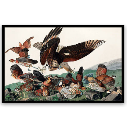 Virginian Partridge by John J. Audubon  | Choose Style | Size & Trim Color