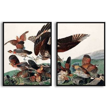 Virginian Partridge by John J. Audubon  | Choose Style | Size & Trim Color