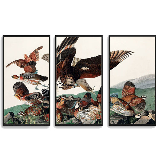 Virginian Partridge by John J. Audubon  | Choose Style | Size & Trim Color