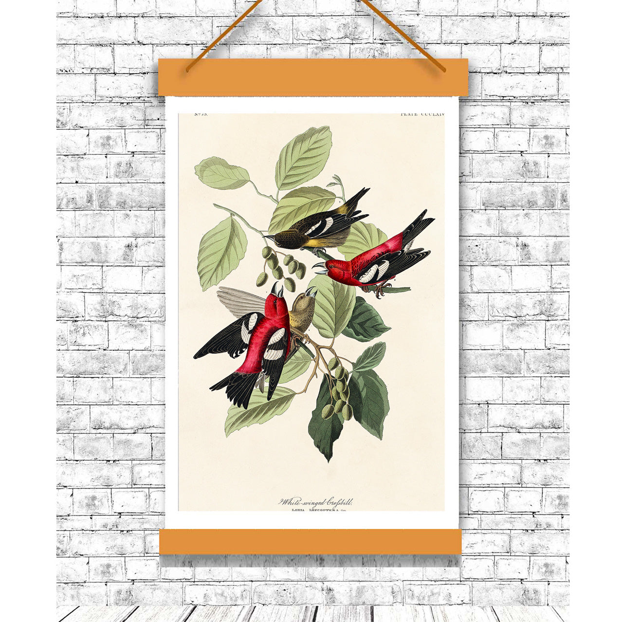 A framed print of White-winged Crossbill birds perched on branches with leaves, featuring a predominantly green, red, and black color scheme.