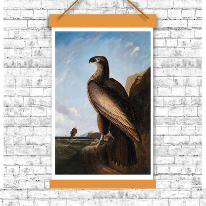 Washington Sea Eagle by John J. Audubon