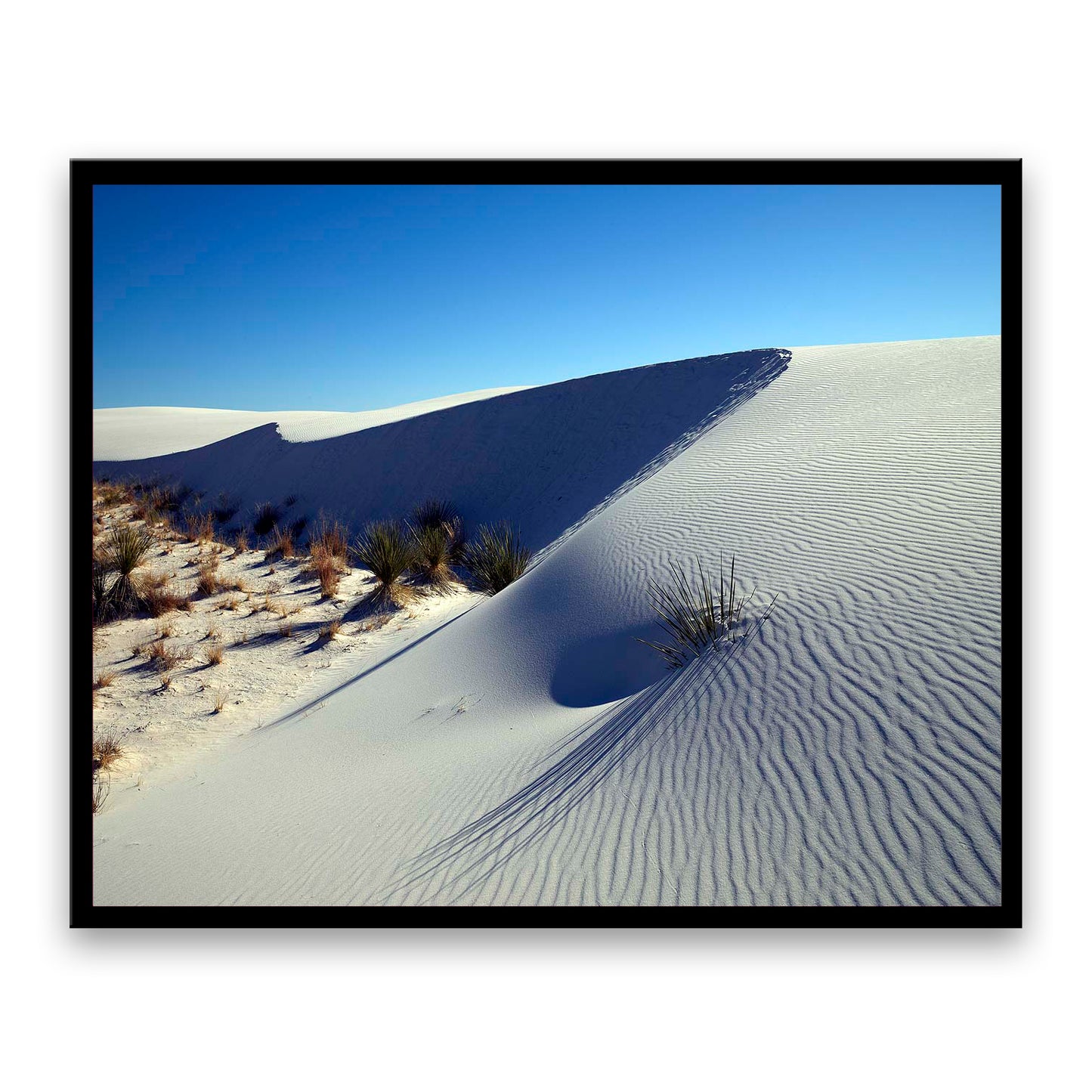 White Sands National Park  | Choose Style | Size & Trim Color
