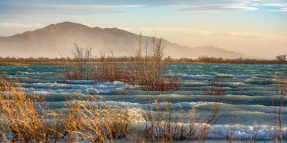 Windy days Create Beautiful Wavelets at Ash Meadows National Wildlife Refuge  | Choose Style | Size & Trim Color