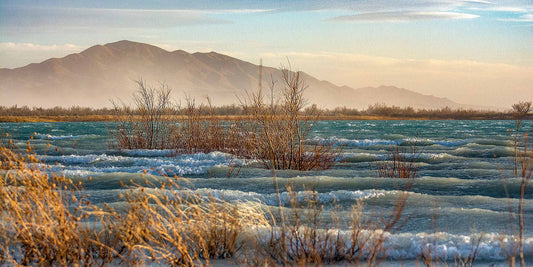 Windy days Create Beautiful Wavelets at Ash Meadows National Wildlife Refuge