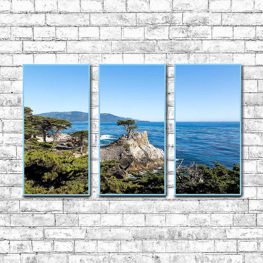 The Lone Cypress  | Choose Style | Size & Trim Color