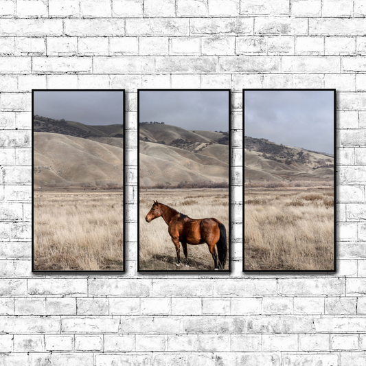Lone Horse  | Choose Style | Size & Trim Color