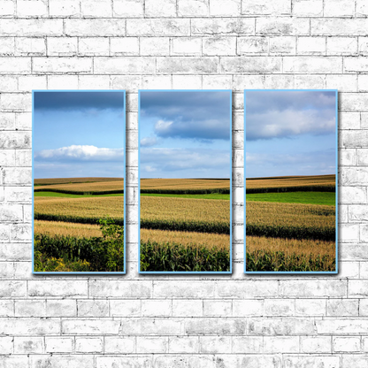 Rural Wisconsin Corn Fields