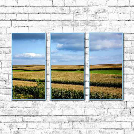 Rural Wisconsin Corn Fields  | Choose Style | Size & Trim Color