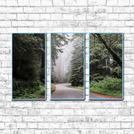 Redwood State and National Park  | Choose Style | Size & Trim Color