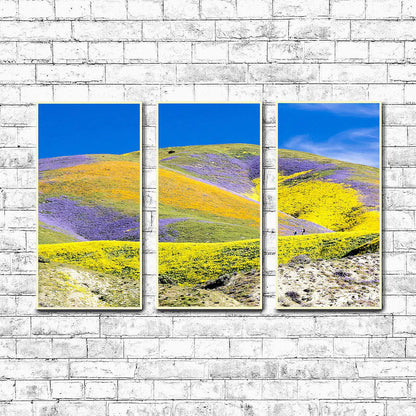 Carrizo Plain National Monument