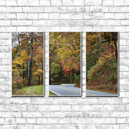 Autumn splendor in the Tennessee