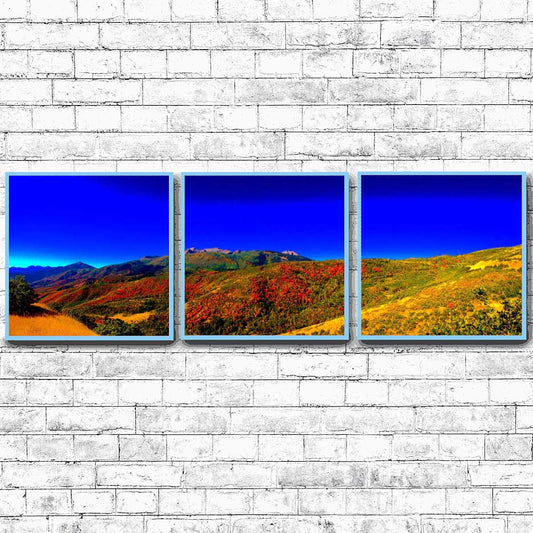 Uinta-Wasatch-Cache National Forest  | Choose Style | Size & Trim Color