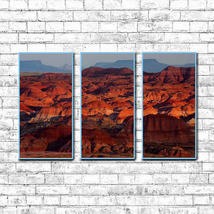 Petrified Forest National Park