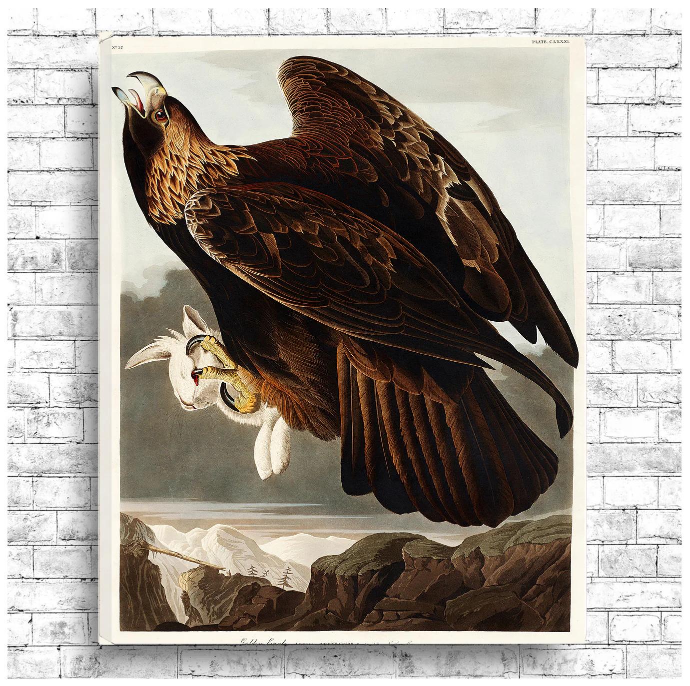 Golden Eagle by John J. Audubon