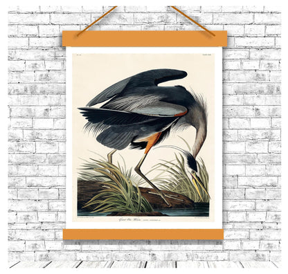 Great blue Heron by John J. Audubon