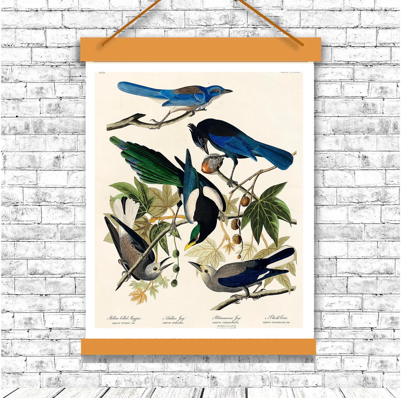 Yellow-Billed Magpie by John J. Audubon