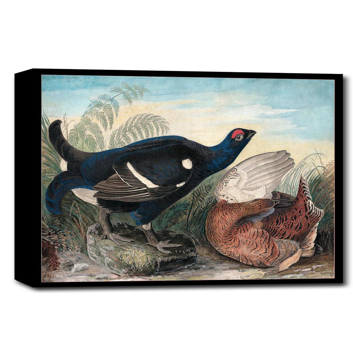 English Black Cocks by John J. Audubon