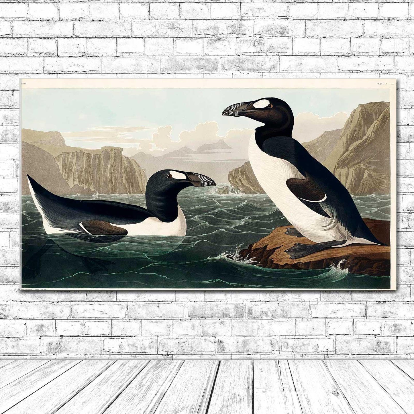 Great Auk by John J. Audubon