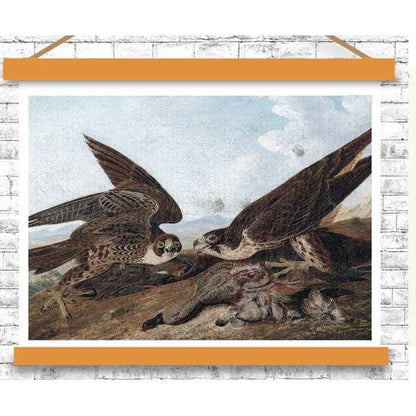 Peregrine Falcons by John J. Audubon