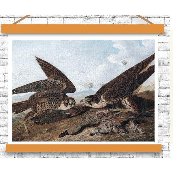 Peregrine Falcons by John J. Audubon