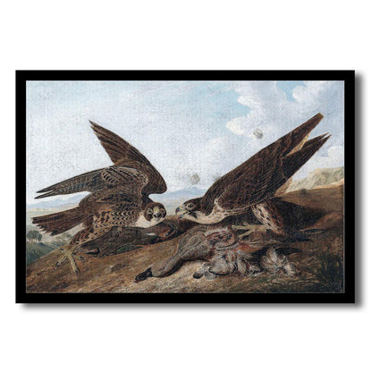 Peregrine Falcons by John J. Audubon