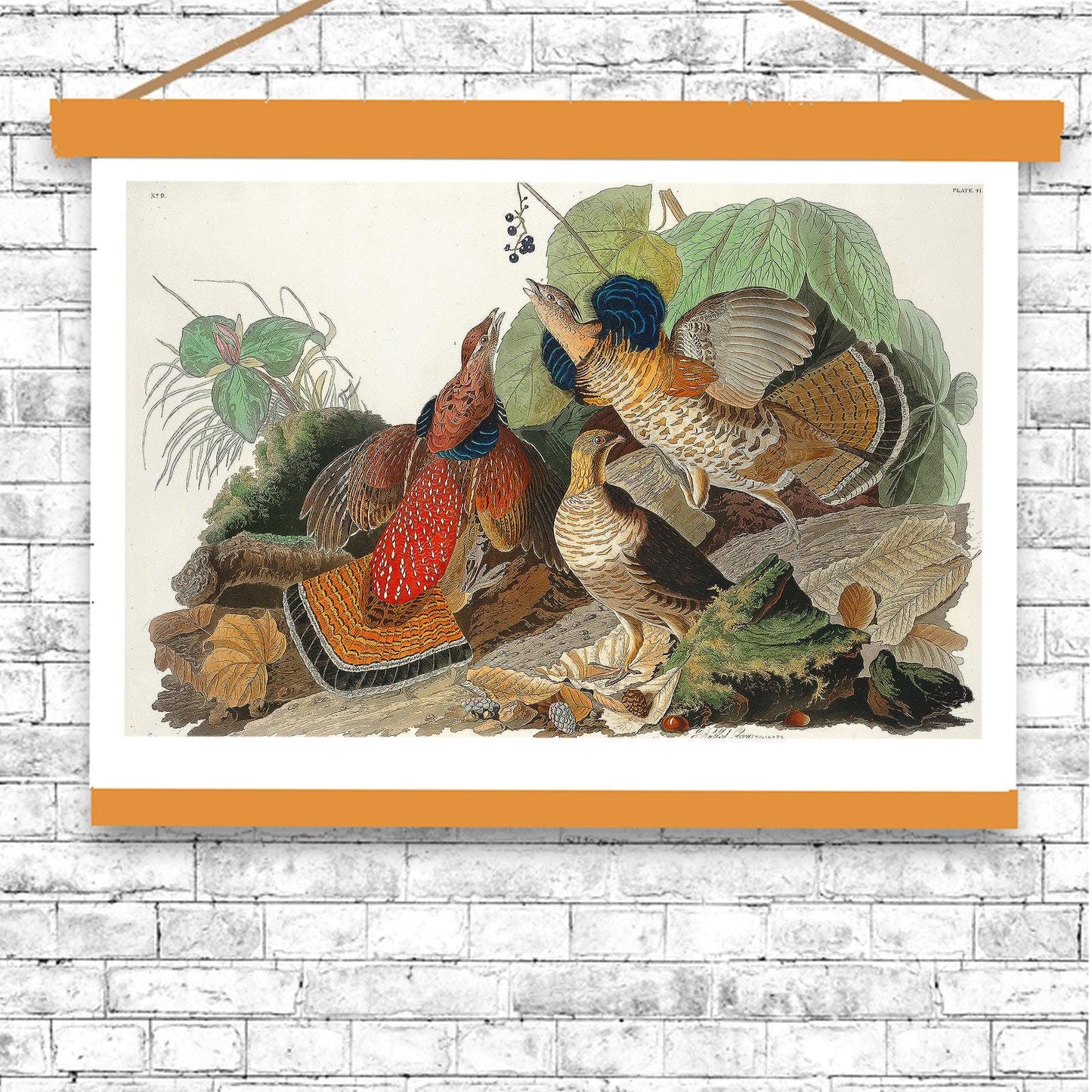 Ruffed Grouse by John J. Audubon