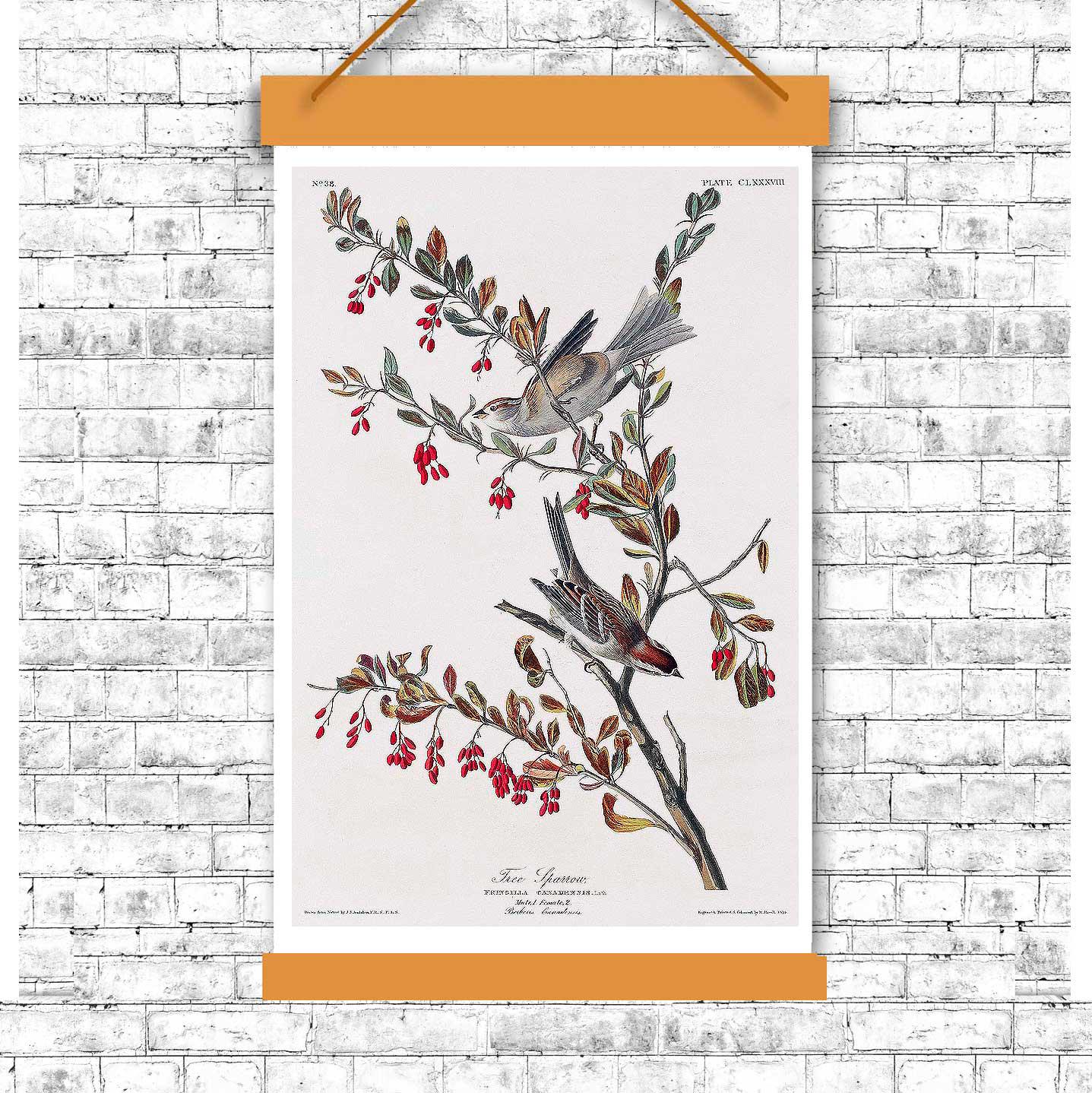 Tree Sparrow by John J. Audubon