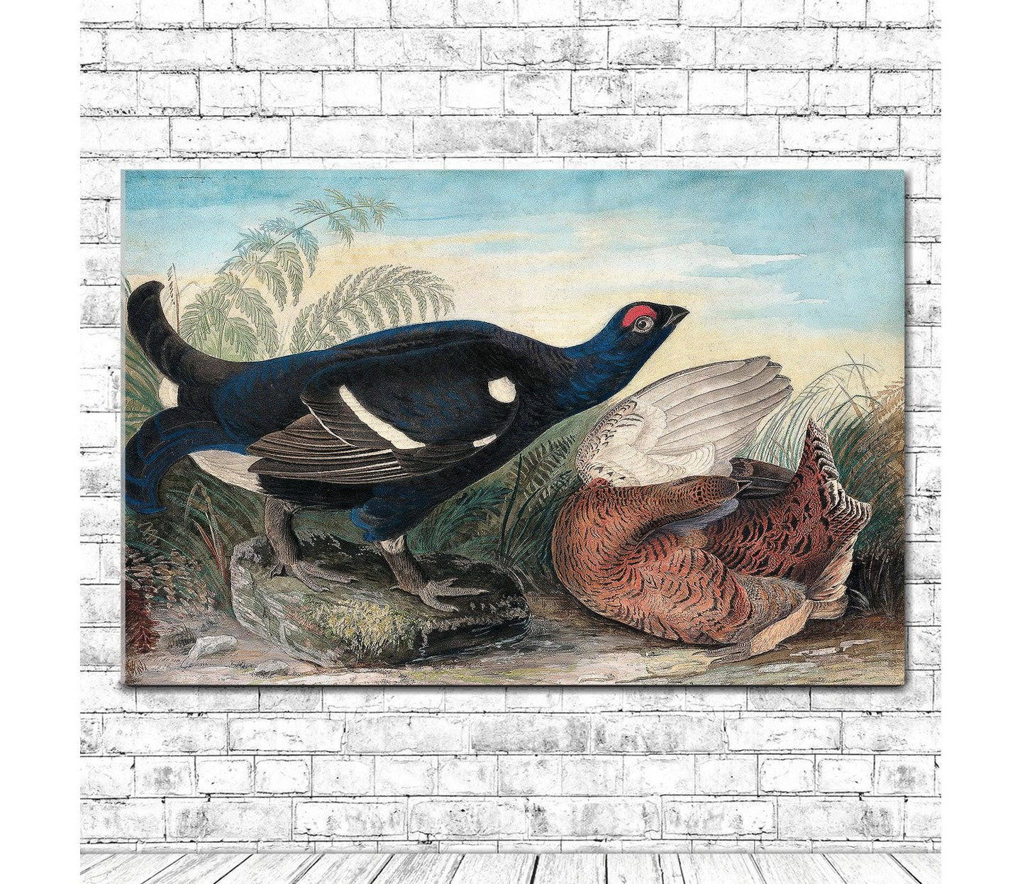 English Black Cocks by John J. Audubon