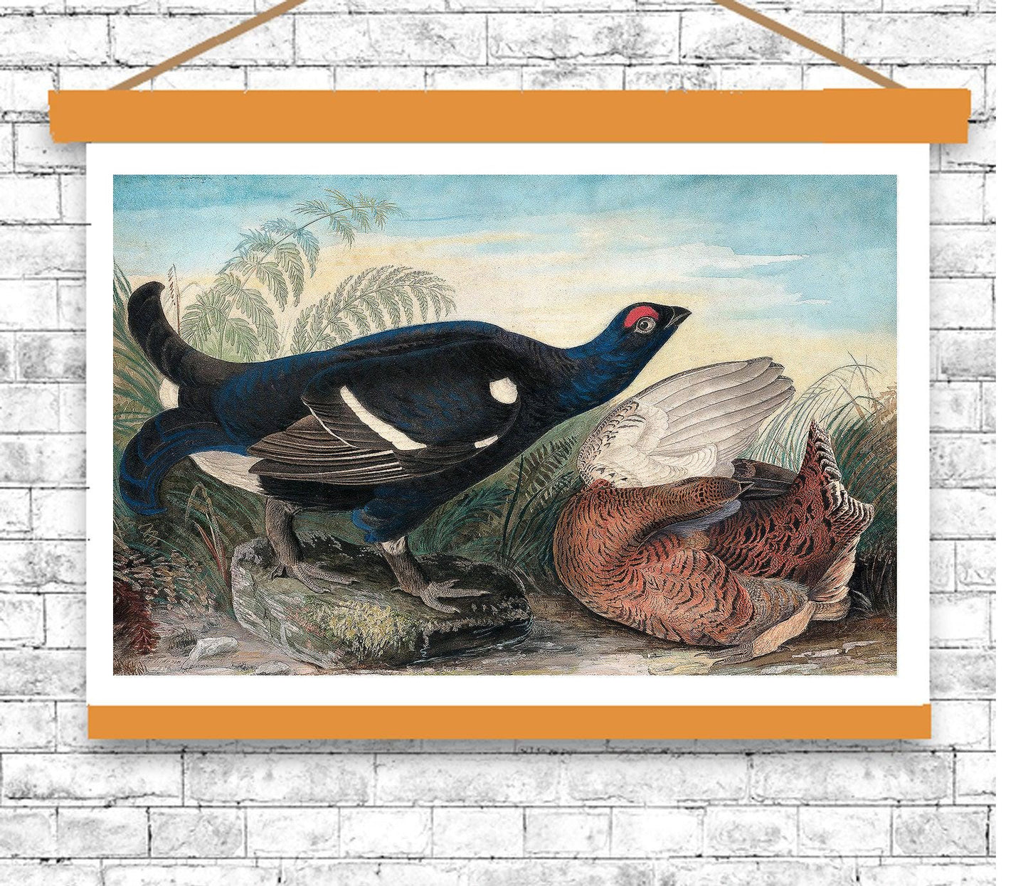 English Black Cocks by John J. Audubon