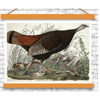 Great American Hen and Young by John J. Audubon