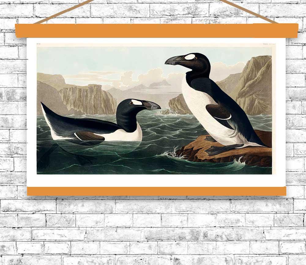 Great Auk by John J. Audubon