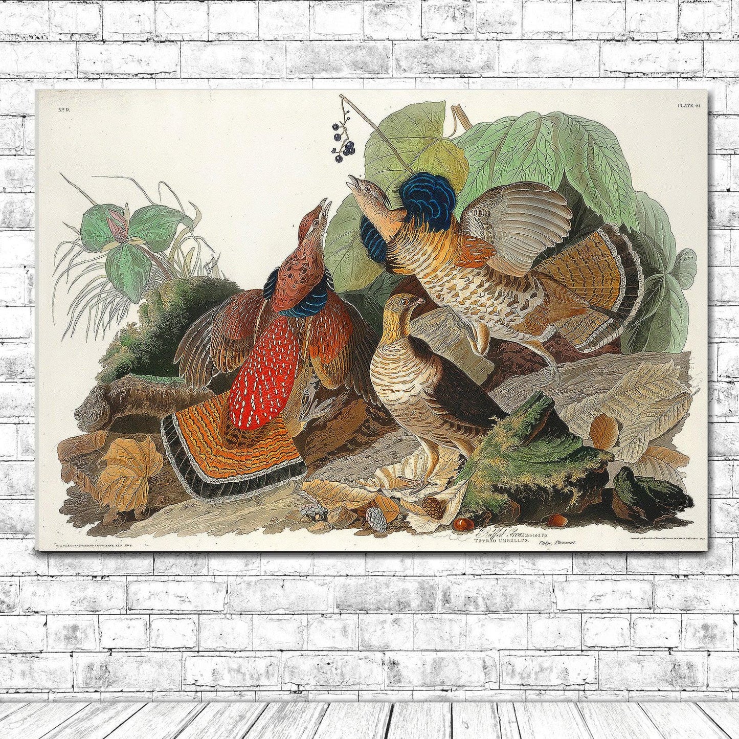 Ruffed Grouse by John J. Audubon