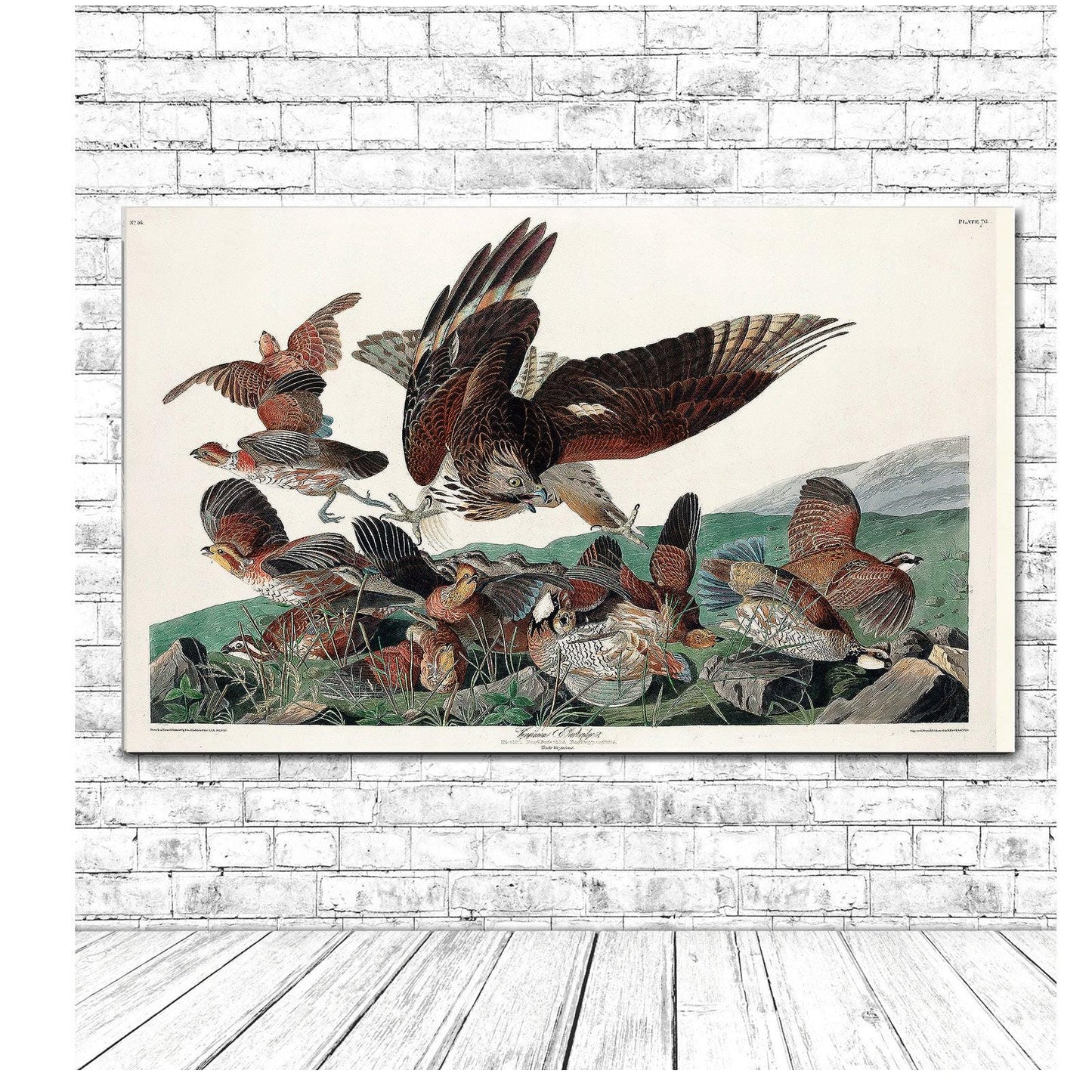 Virginian Partridge by John J. Audubon
