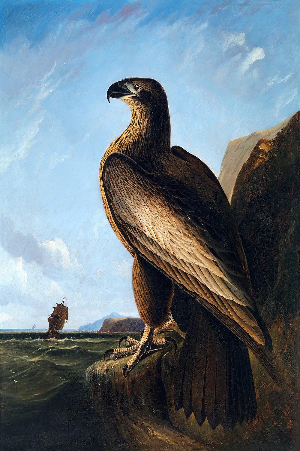 Painting of an eagle perched on a rock with a ship in the distance.