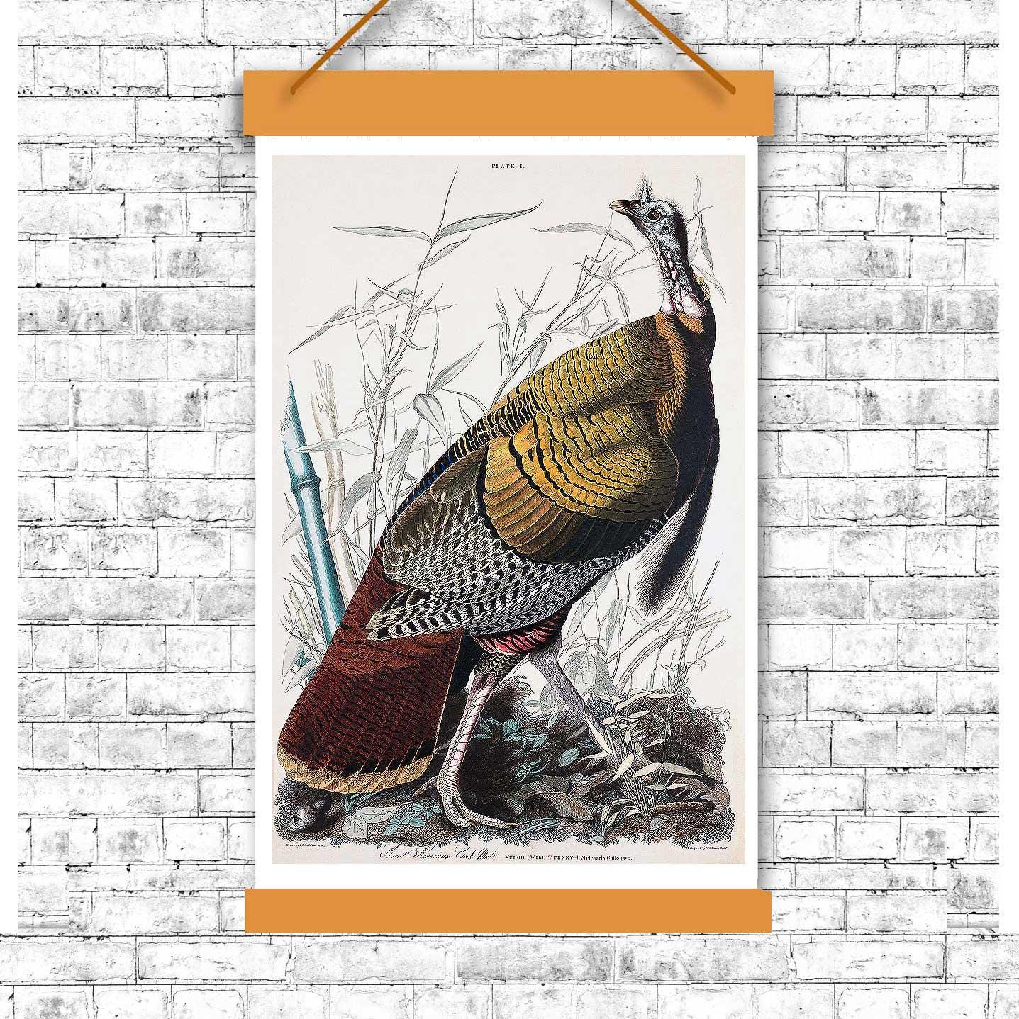 AA-Wild Turkey or Great American Cock by John J. Audubon