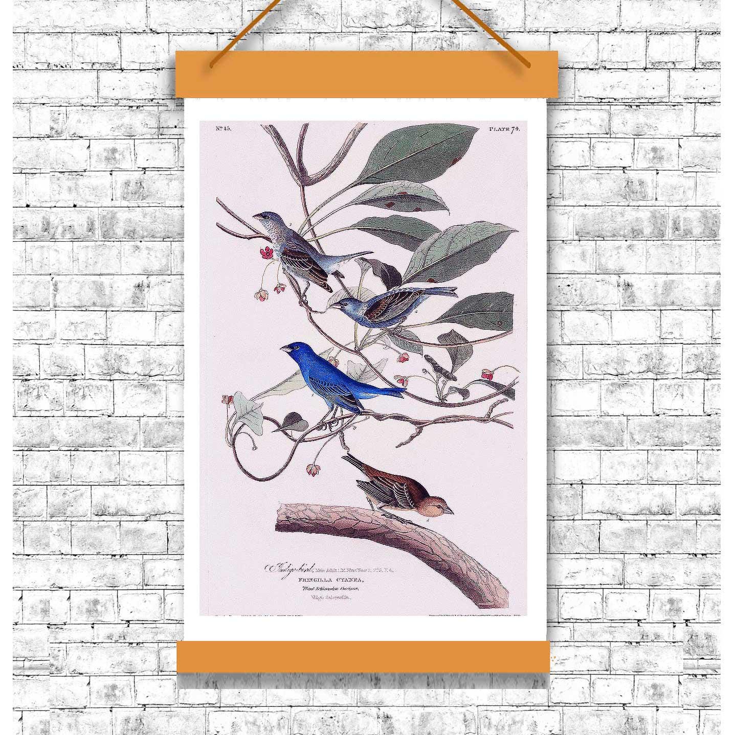 Indigo Bird by John J. Audubon