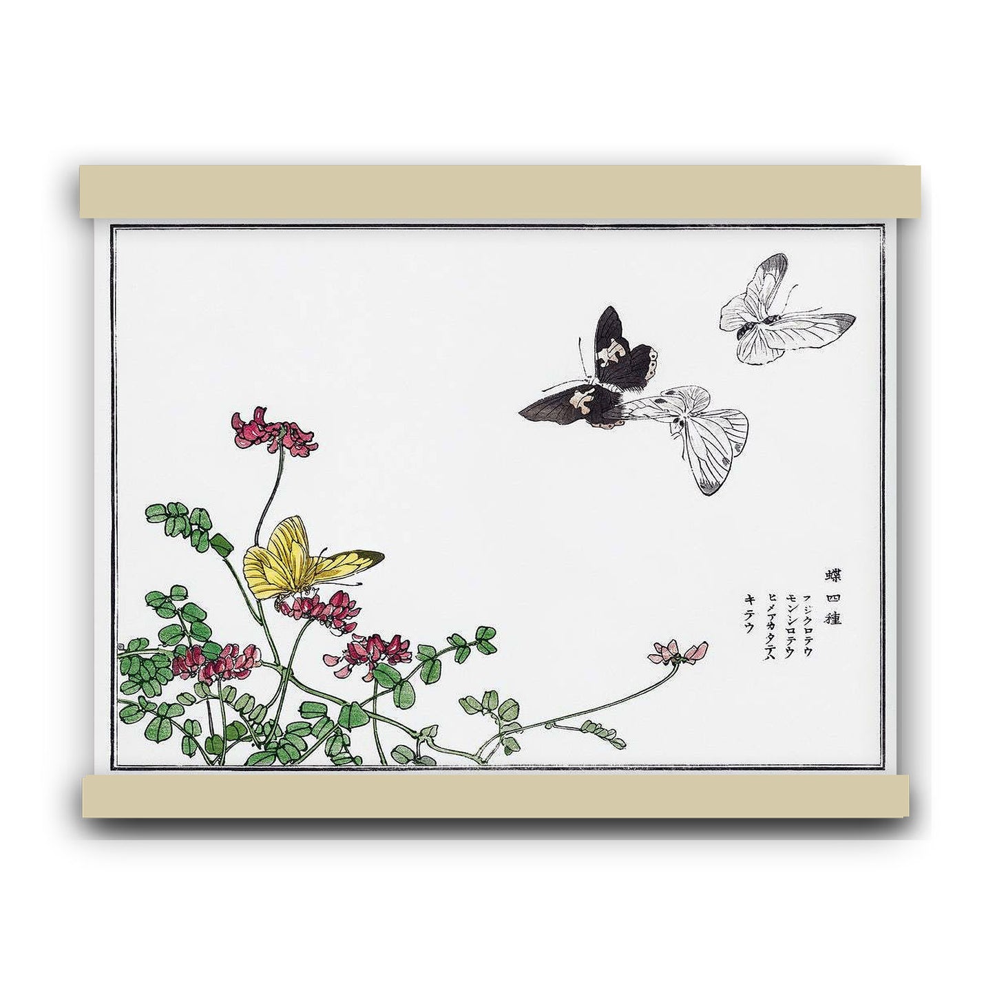 Butterflies and flower illustration by Morimoto Toko (1910)"B" | Hanging Canvas Art | Choice of Board Colors