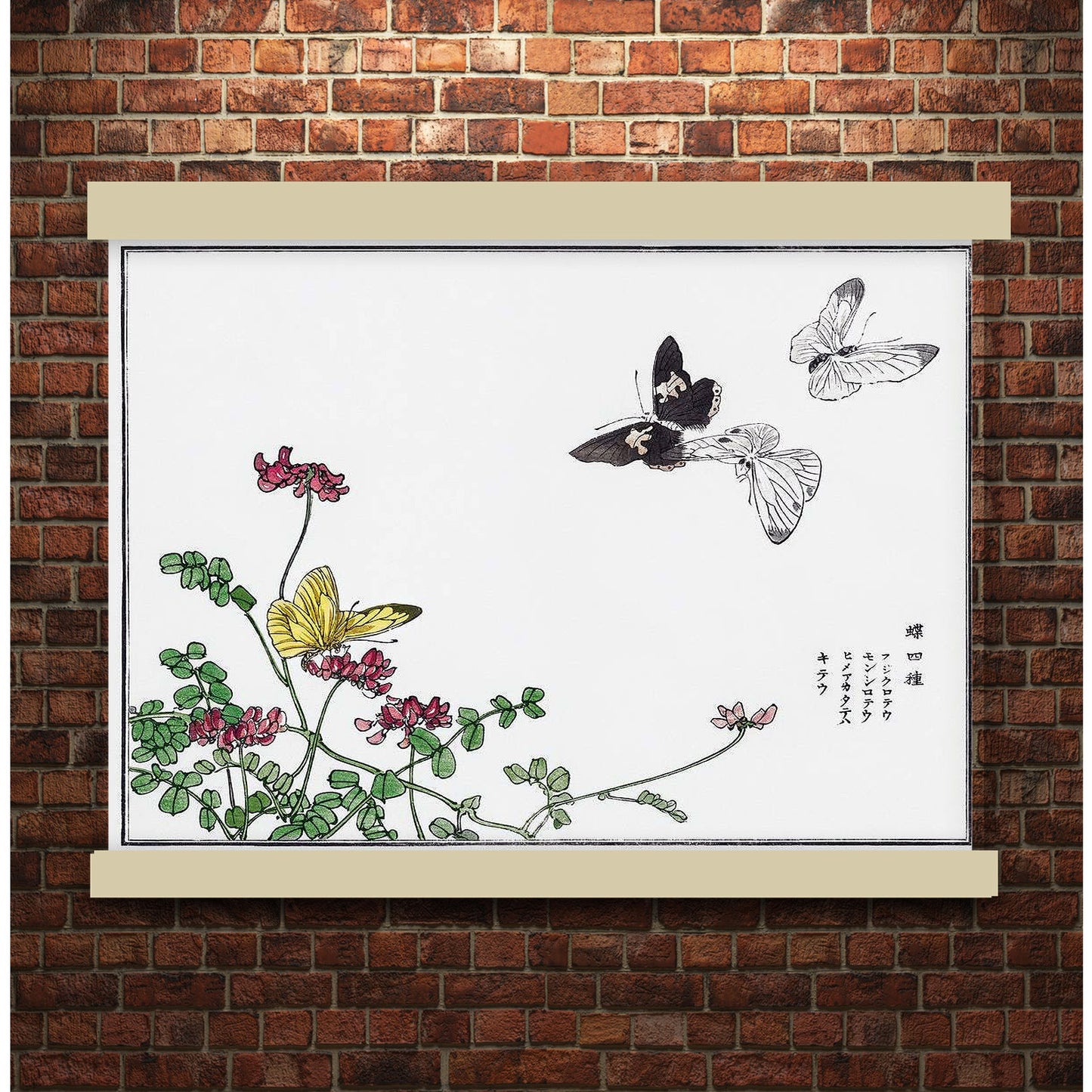 Butterflies and flower illustration by Morimoto Toko (1910)"B" | Hanging Canvas Art | Choice of Board Colors