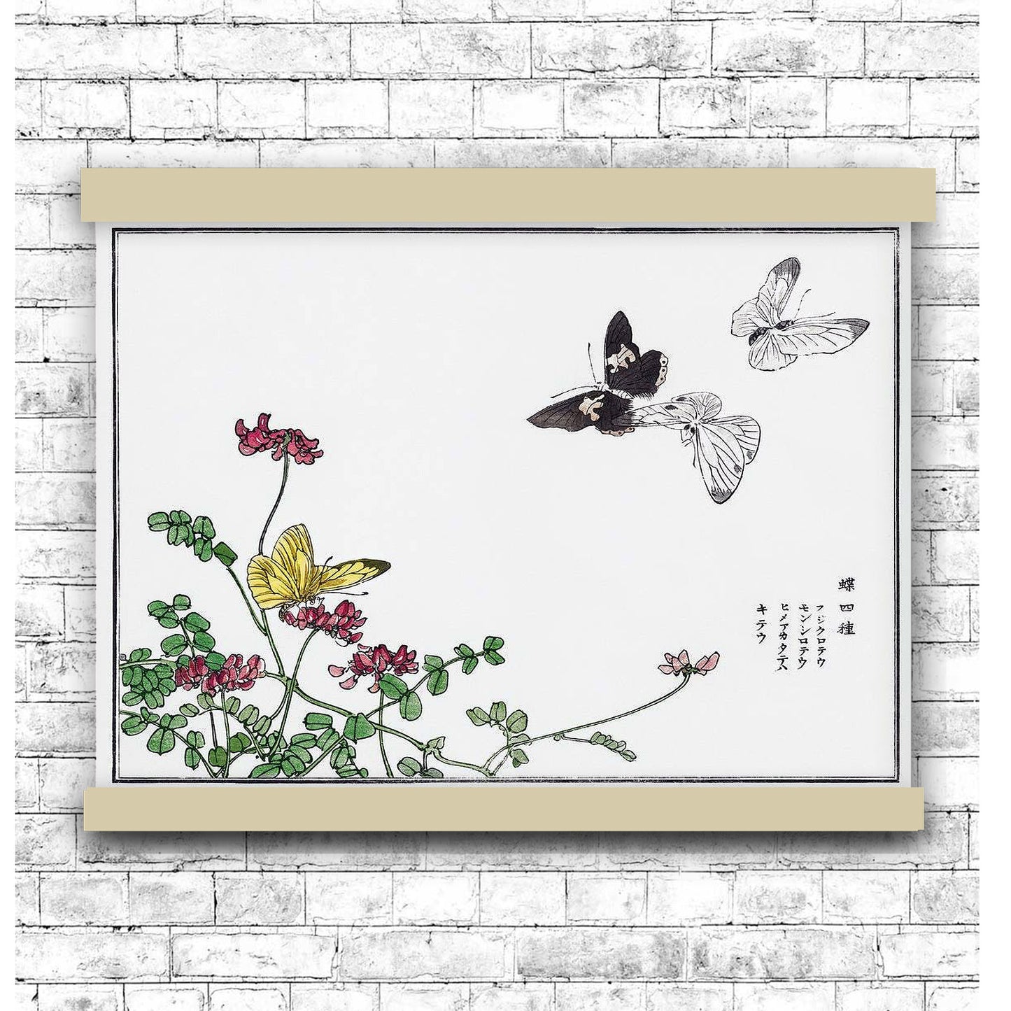 Butterflies and flower illustration by Morimoto Toko (1910)"B" | Hanging Canvas Art | Choice of Board Colors