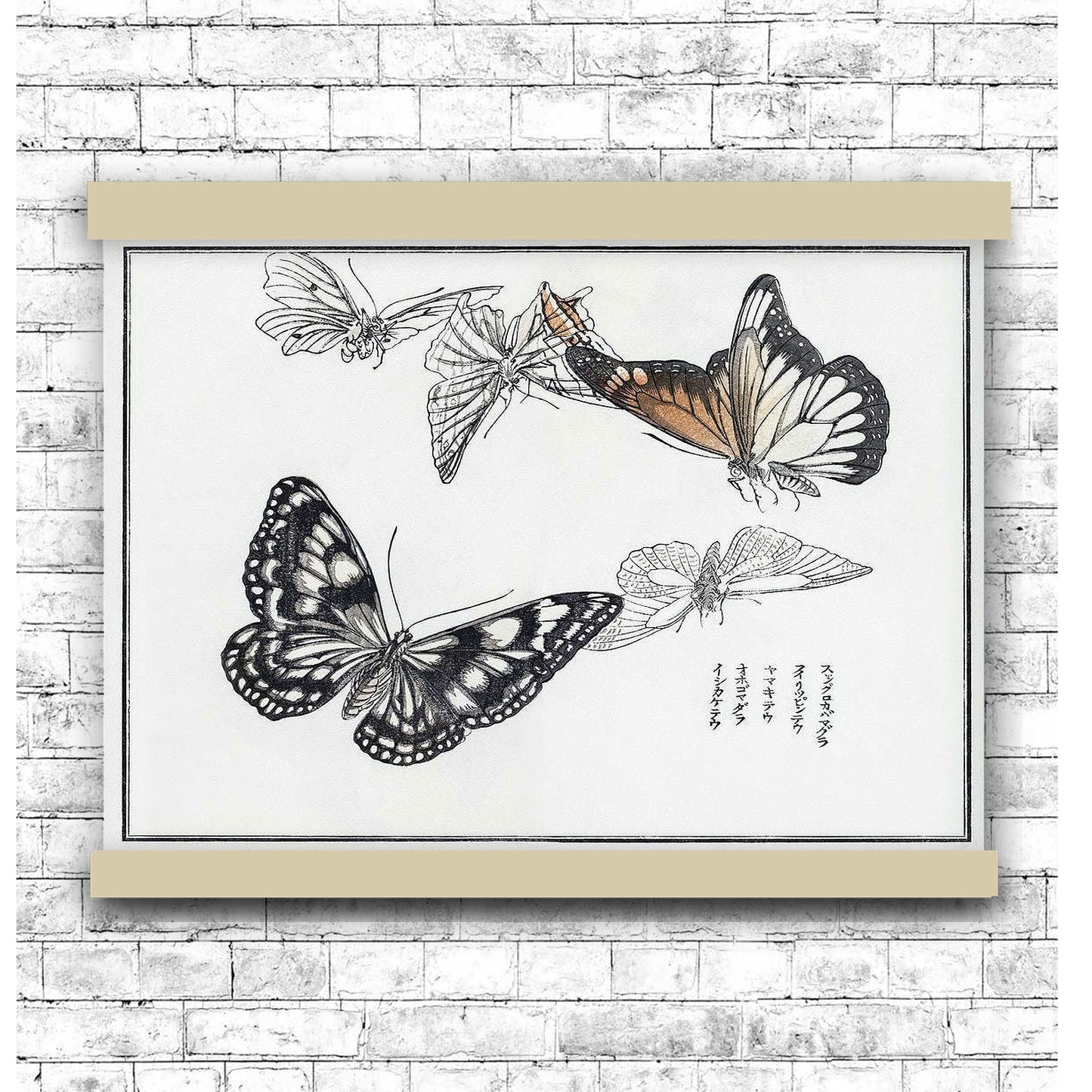 Butterflies illustration by Morimoto Toko (1910) | Hanging Canvas Art | Choice of Board Colors