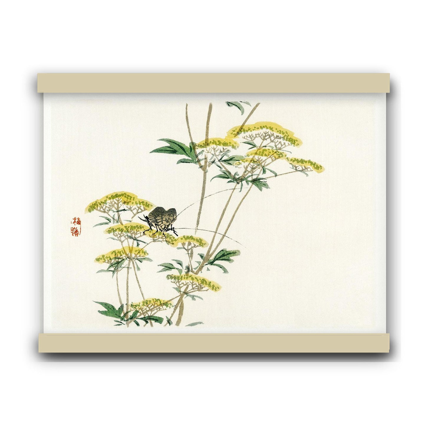Flannel flower by Kōno Bairei (1913) | Hanging Canvas Art | Choice of Board Colors