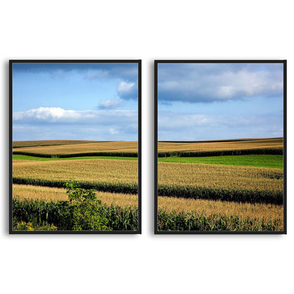Rural Wisconsin Corn Fields  | Choose Style | Size & Trim Color